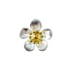 Pendant - NZ Manuka Flower with Gold Plate